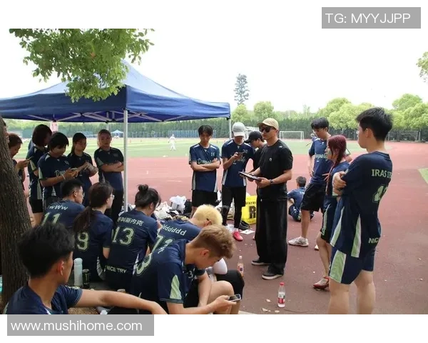 重庆飞盘队的战术变革与团队协作深度解析